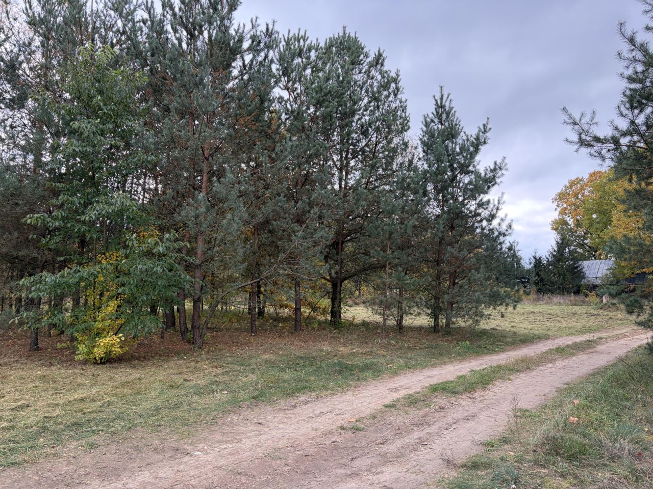Działka siedliskowa Strabla, ul. Kolejowa. Zdjęcie 5