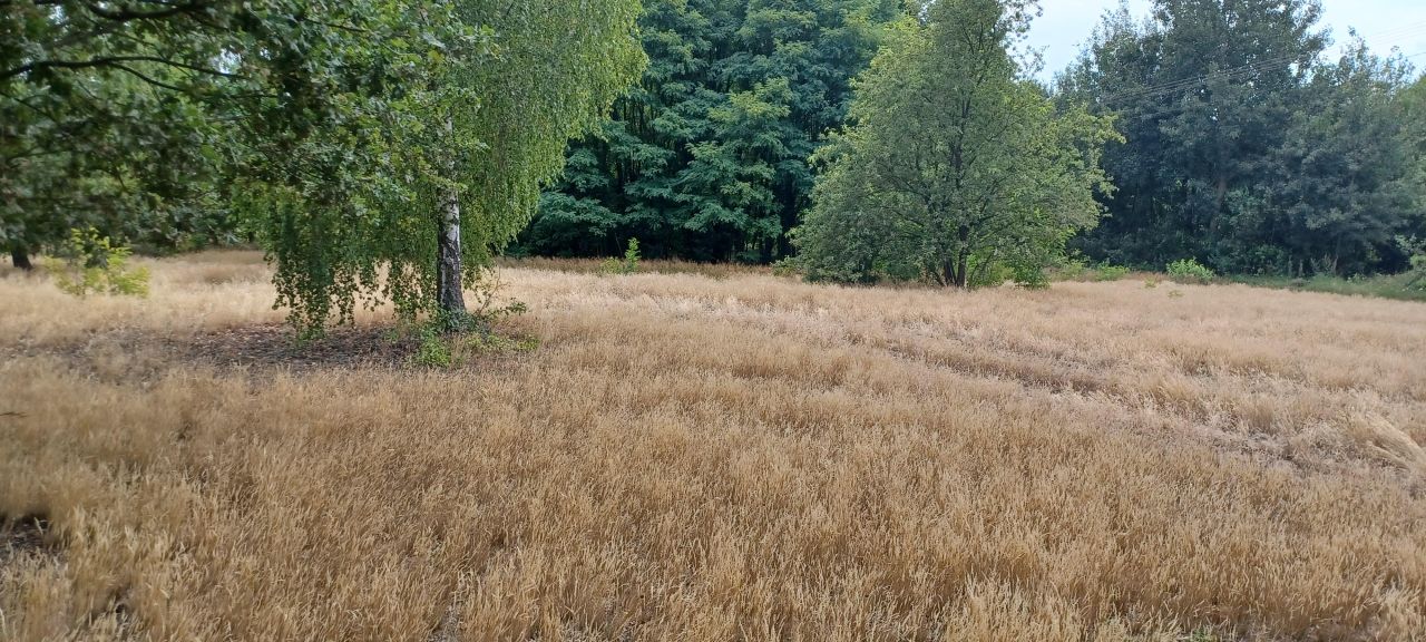 Działka budowlana Bujniczki-Kolonia Kopanina. Zdjęcie 14