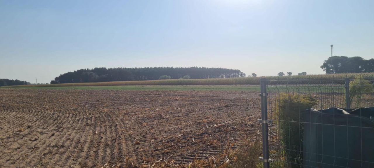 Działka budowlana Sokolniki Klonowskie. Zdjęcie 3