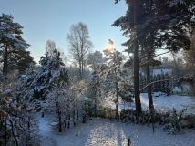 Działka budowlana Dębki. Zdjęcie 2