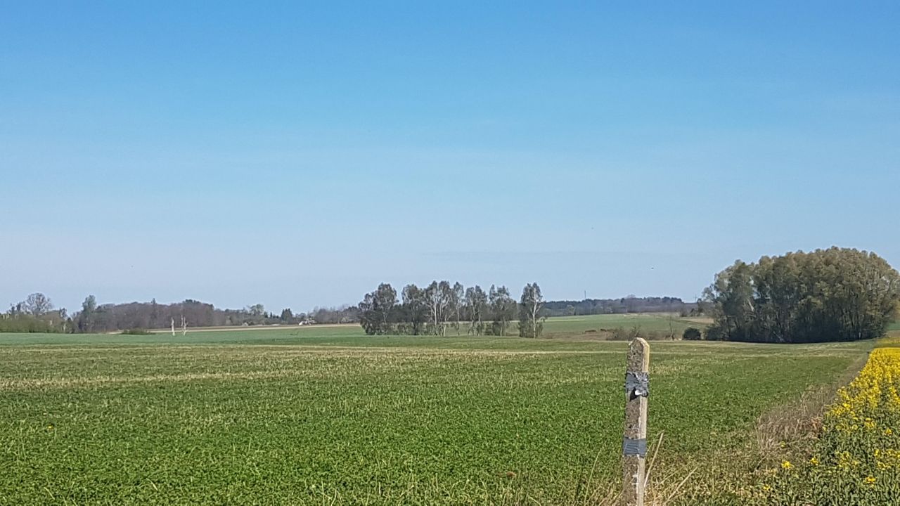 Działka rolna Dargikowo. Zdjęcie 10
