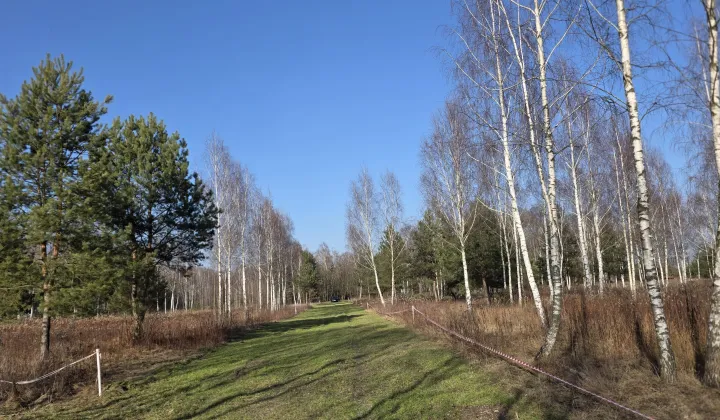 Działka rolno-budowlana Leontyna, Parkowa