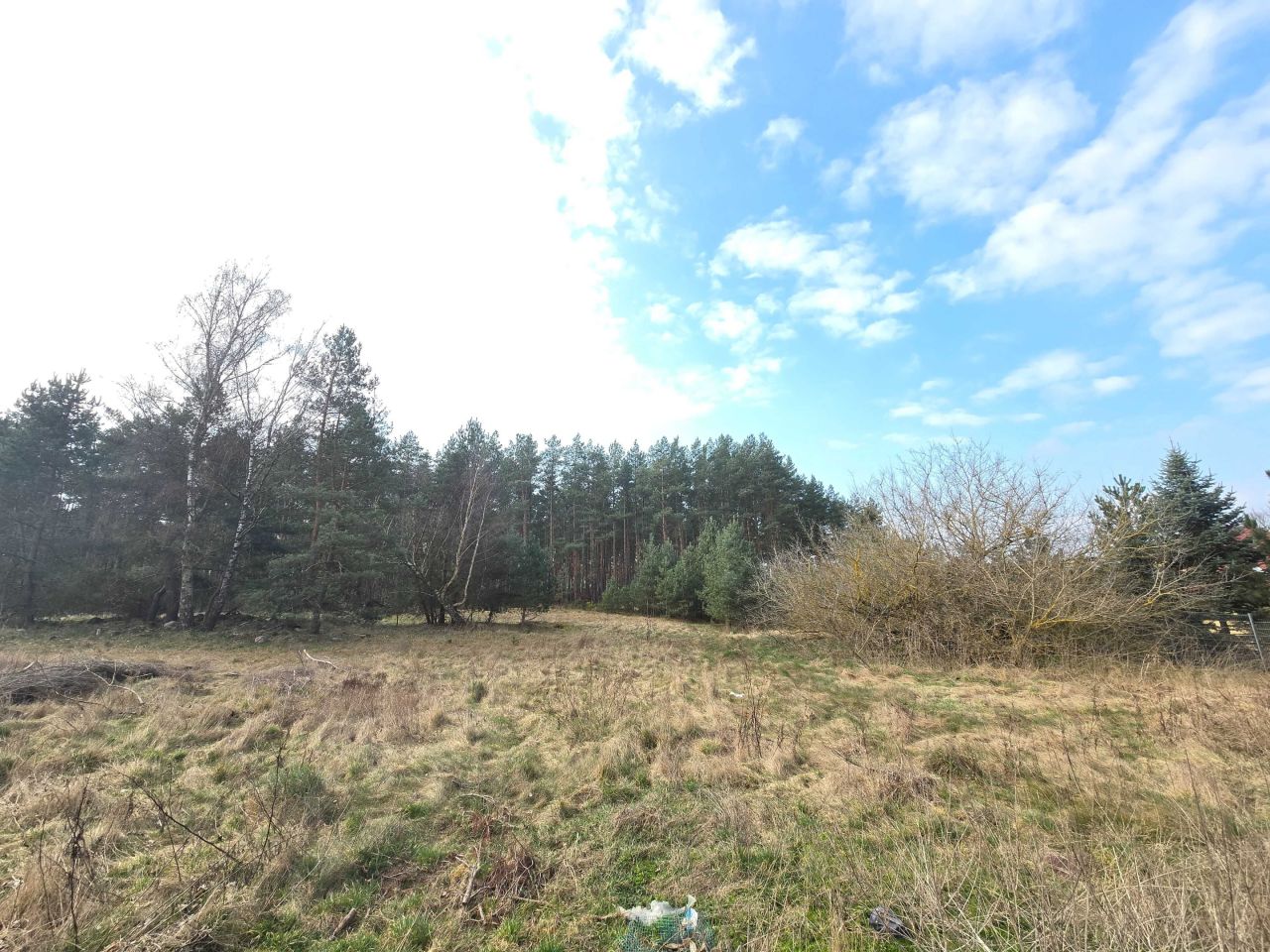 Działka budowlana Dargomyśl. Zdjęcie 3