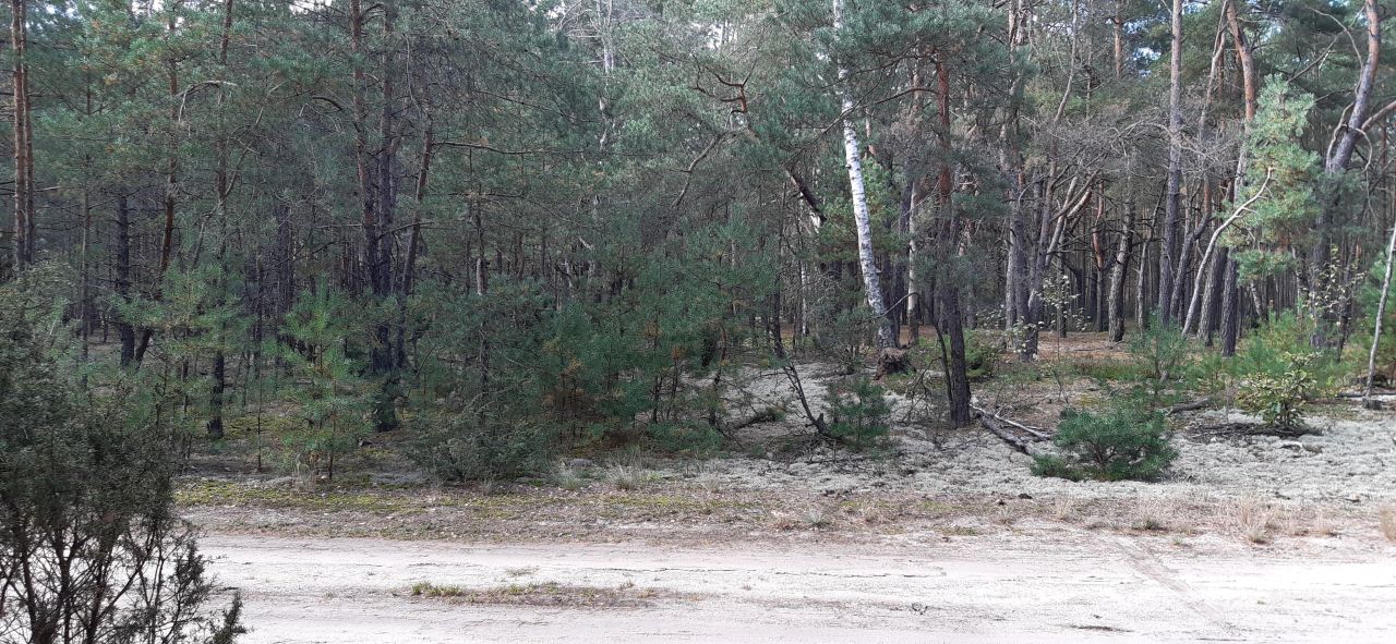 Działka budowlana Popowo-Letnisko, ul. Słoneczna. Zdjęcie 3