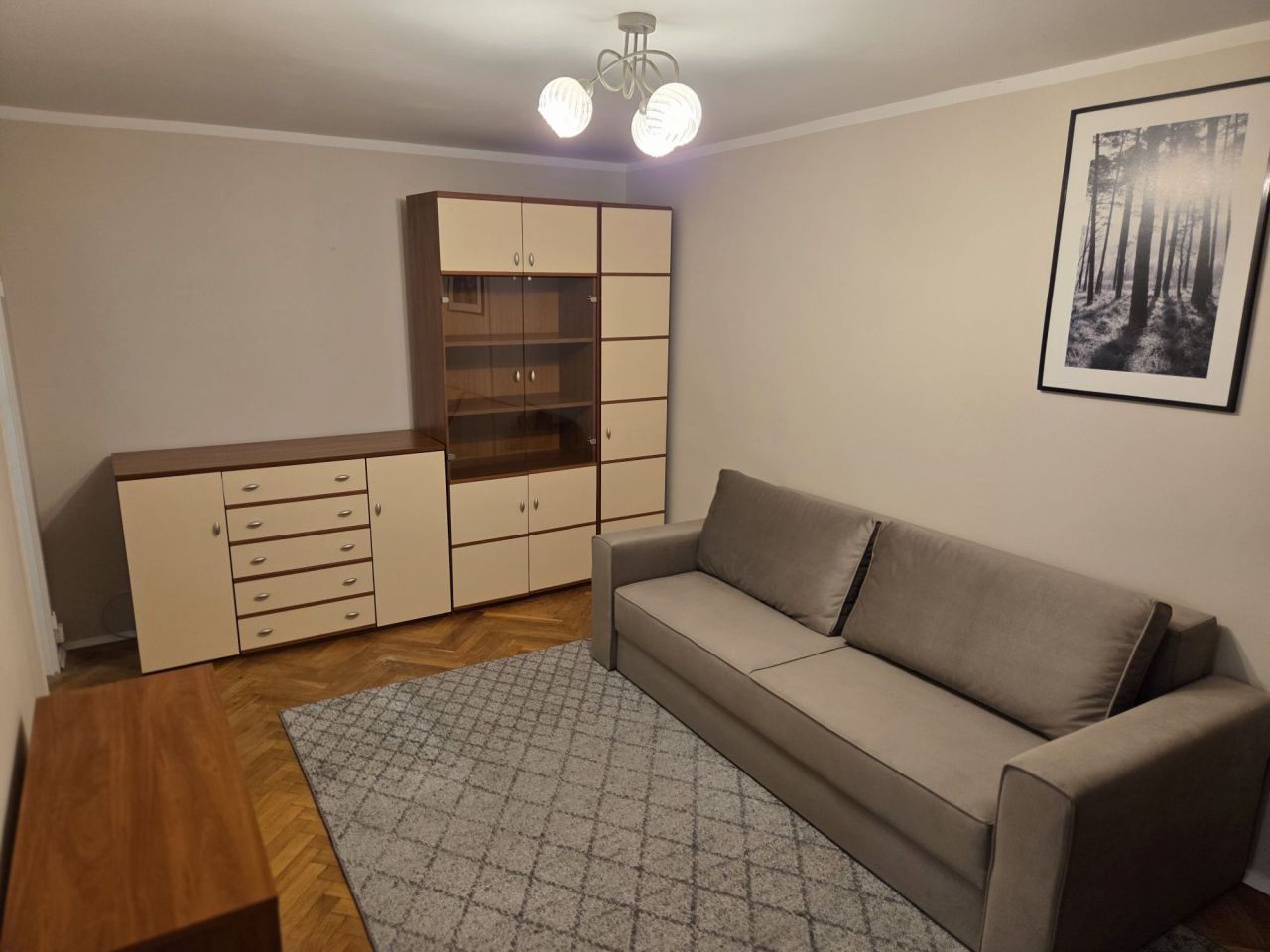Mieszkanie 1-pokojowe Poznań Winogrady, os. Przyjaźni. Zdjęcie 3