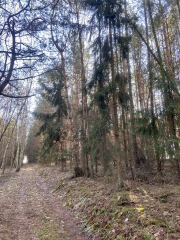 Działka rolna Gościeradów Ukazowy, Gościeradów Ukazowy. Zdjęcie 1