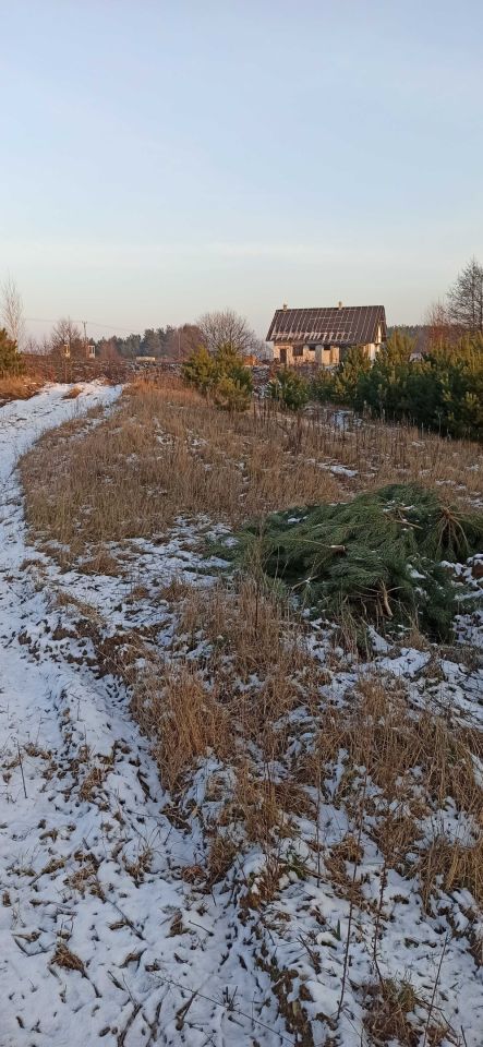 Działka budowlana Skrzeszewo. Zdjęcie 3