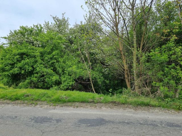 Działka rolno-budowlana Ujkowice. Zdjęcie 1