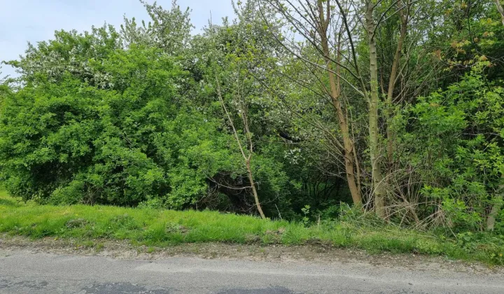 Działka rolno-budowlana Ujkowice