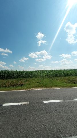 Działka budowlana Wińsko, ul. Wincentego Witosa. Zdjęcie 3