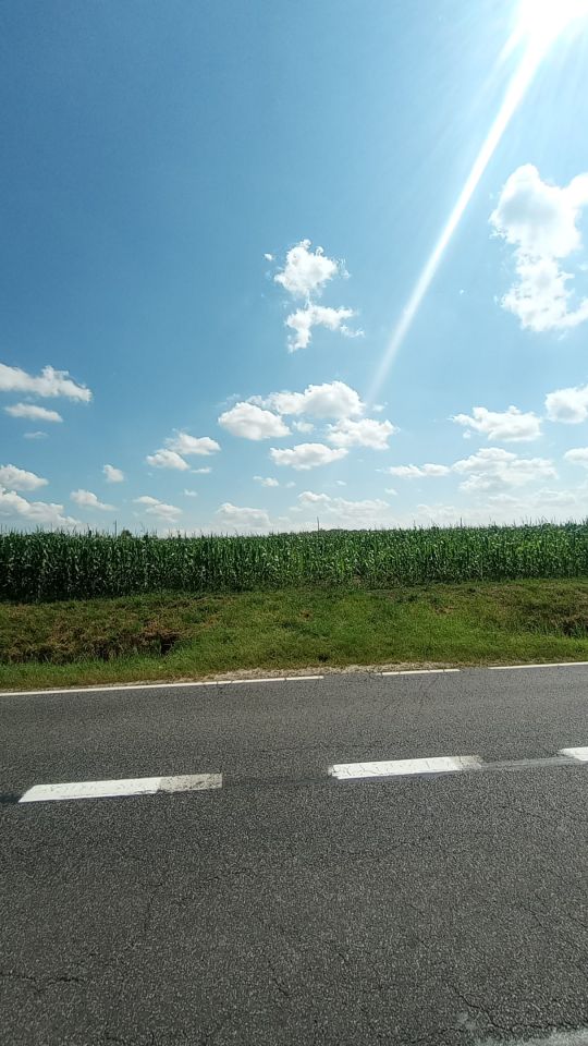 Działka budowlana Wińsko, ul. Wincentego Witosa. Zdjęcie 3