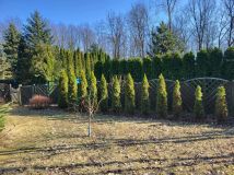 dom letniskowy Stanisławów Pierwszy. Zdjęcie 3