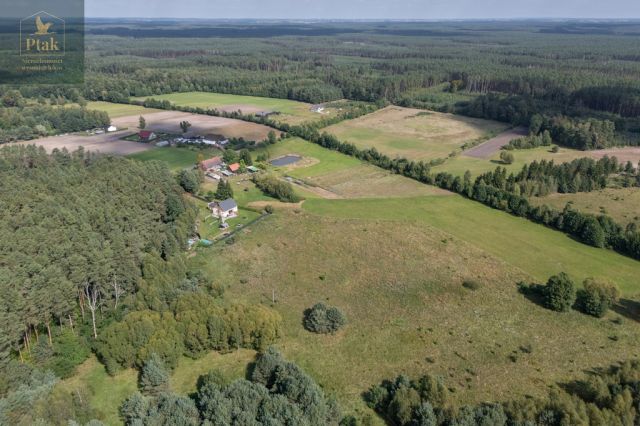 Działka rolna Obrzycko. Zdjęcie 12