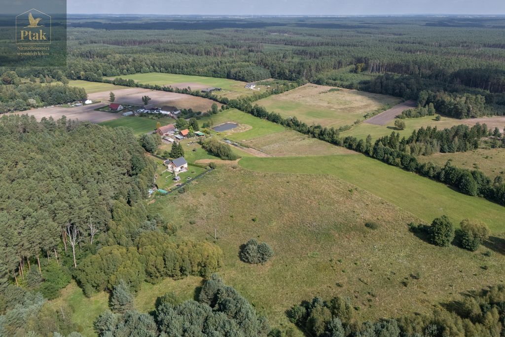 Działka rolna Obrzycko. Zdjęcie 12