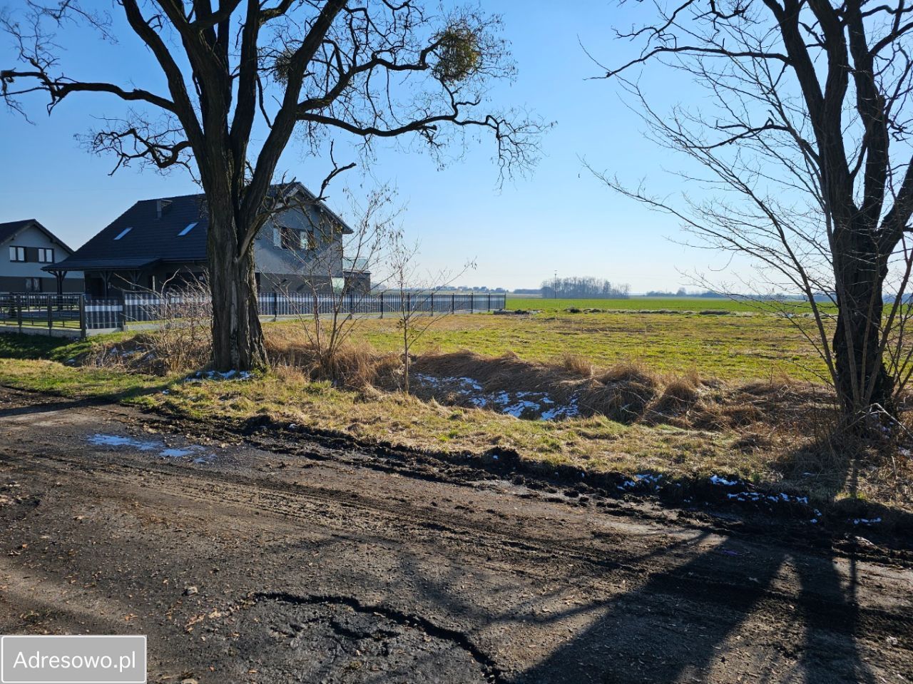 Działka budowlana Miedary. Zdjęcie 1