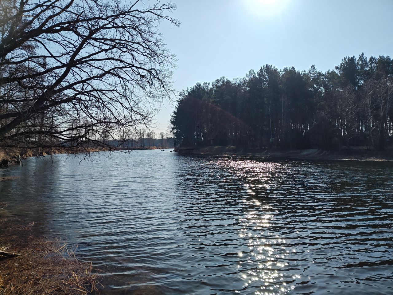 Działka siedliskowa Długie Grodzieckie Nad Jeziorem. Zdjęcie 7