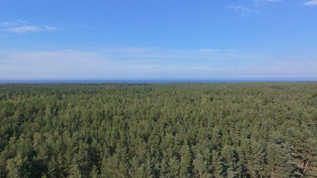 Mieszkanie 3-pokojowe Gdańsk Sobieszewo, ul. Tęczowa. Zdjęcie 9