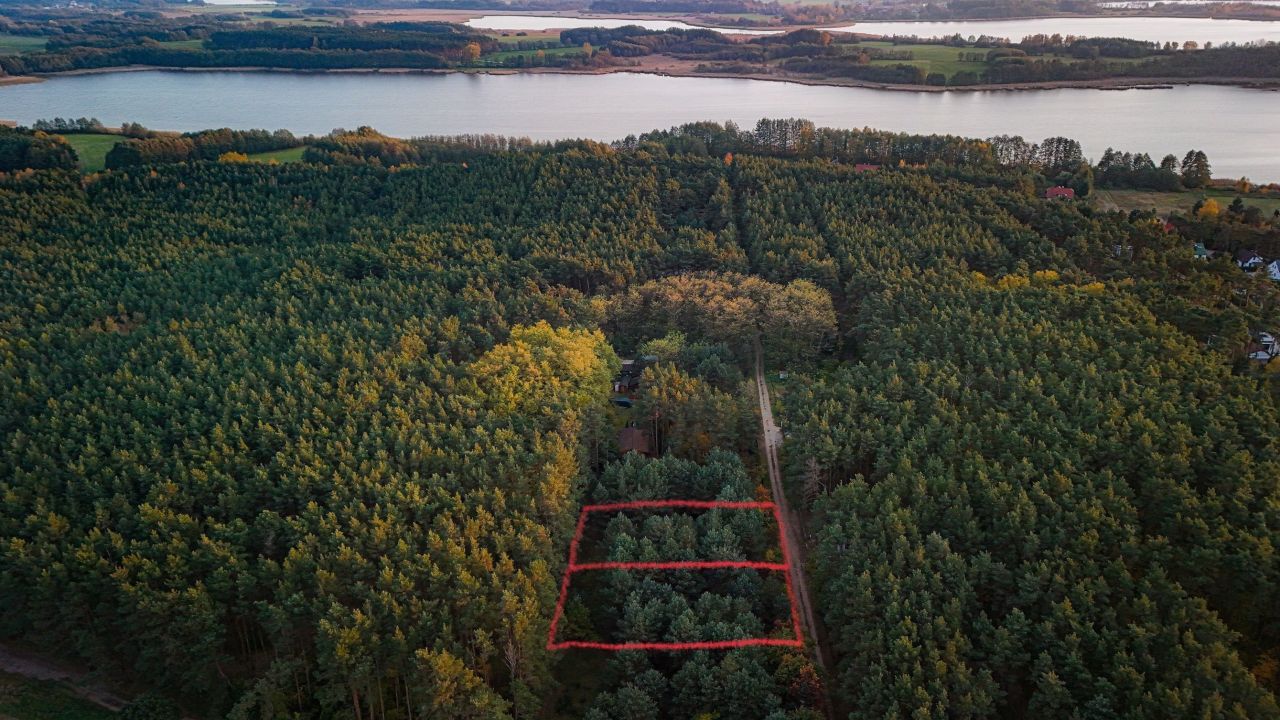 Działka rekreacyjna Osłonin, ul. Leśna. Zdjęcie 6