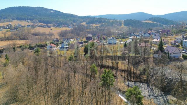 Działka rolna Stara Wieś. Zdjęcie 6