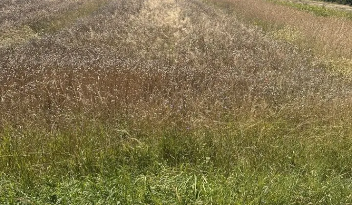 Działka rolna Kików
