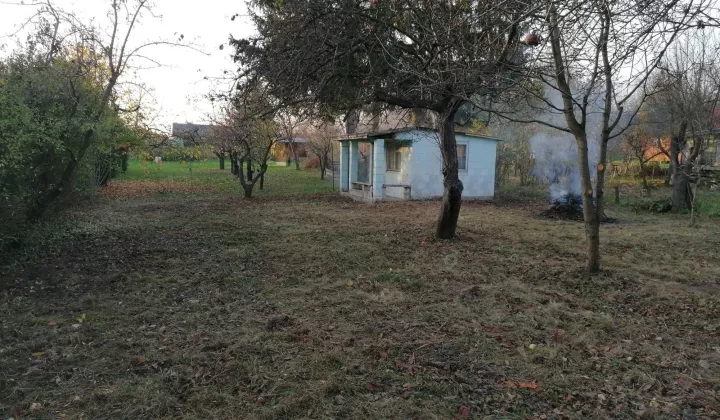 Działka rod Elizówka