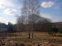 Działka rolna Mydlita. Zdjęcie 4