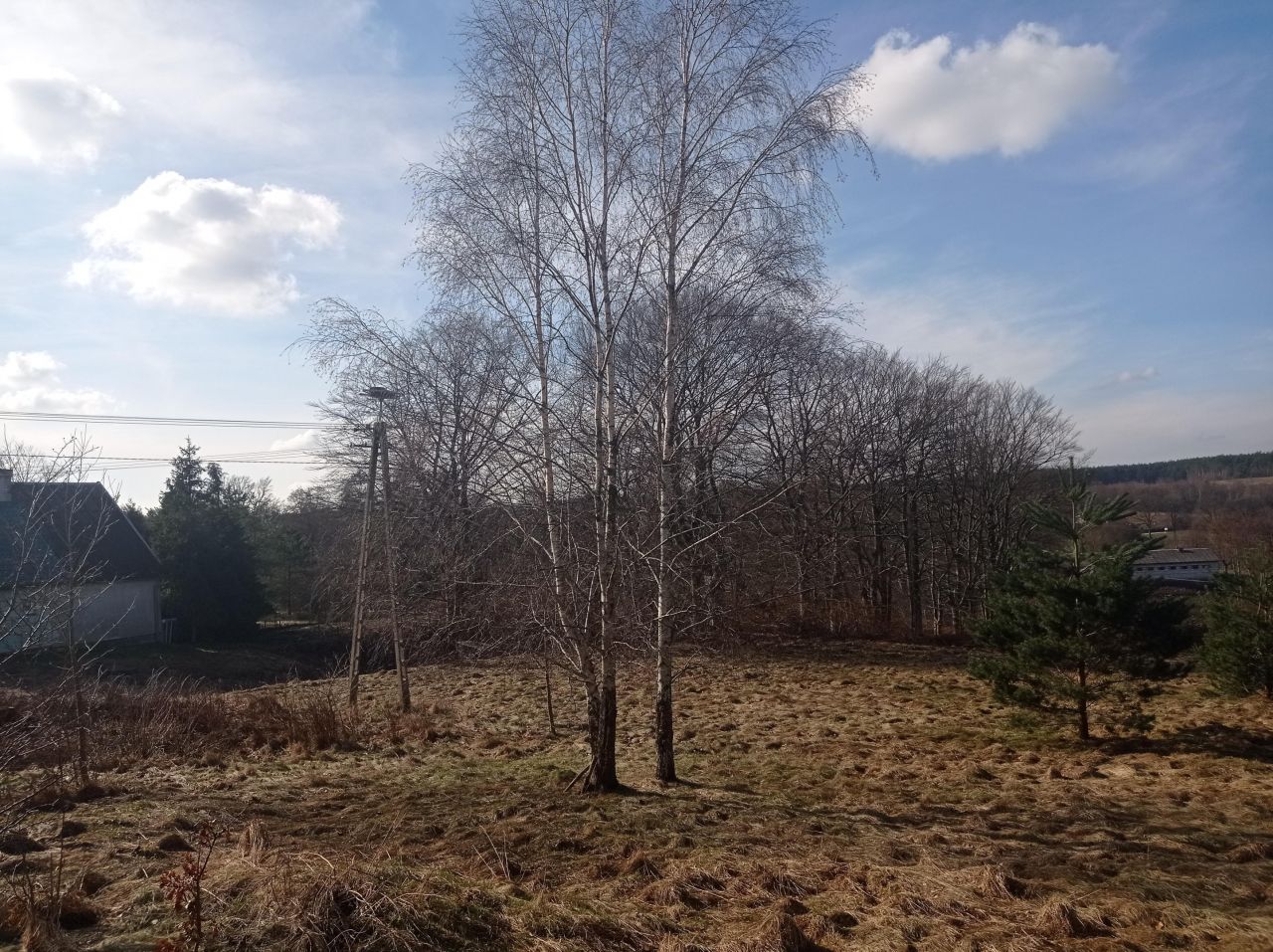 Działka rolna Mydlita. Zdjęcie 5