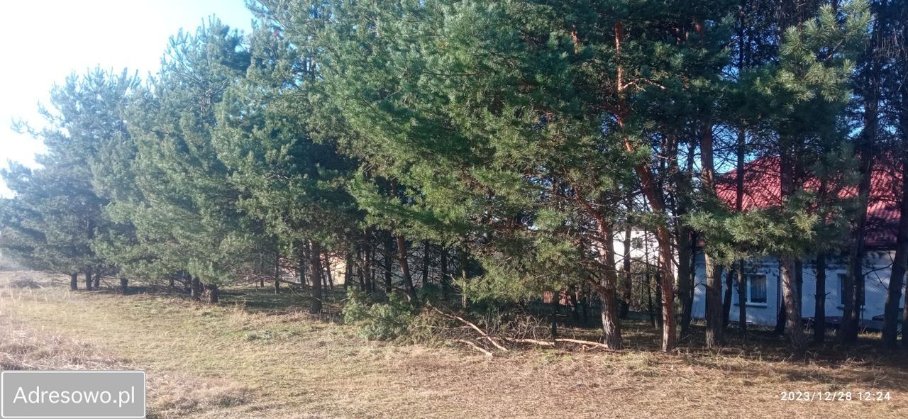 Działka budowlana Jaworzno, ul. Jeleń-Rynek. Zdjęcie 10