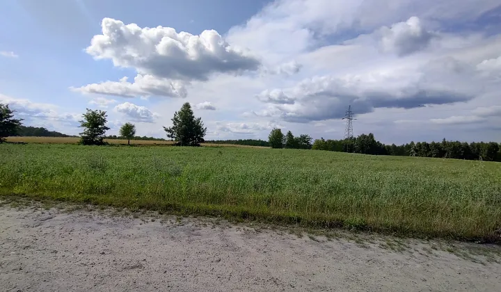 Działka rolno-budowlana Liniewko Kościerskie Liniewko Kaszubskie