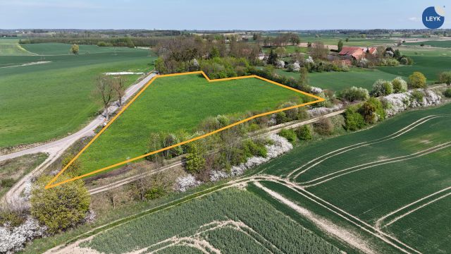 Działka rolno-budowlana Kornele. Zdjęcie 1