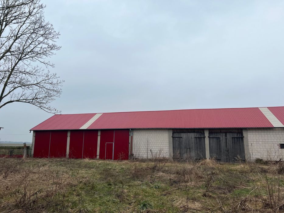 gospodarstwo Grabówka. Zdjęcie 4