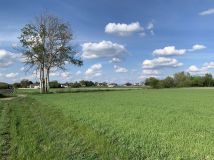 Działka rolno-budowlana Grądy. Zdjęcie 2