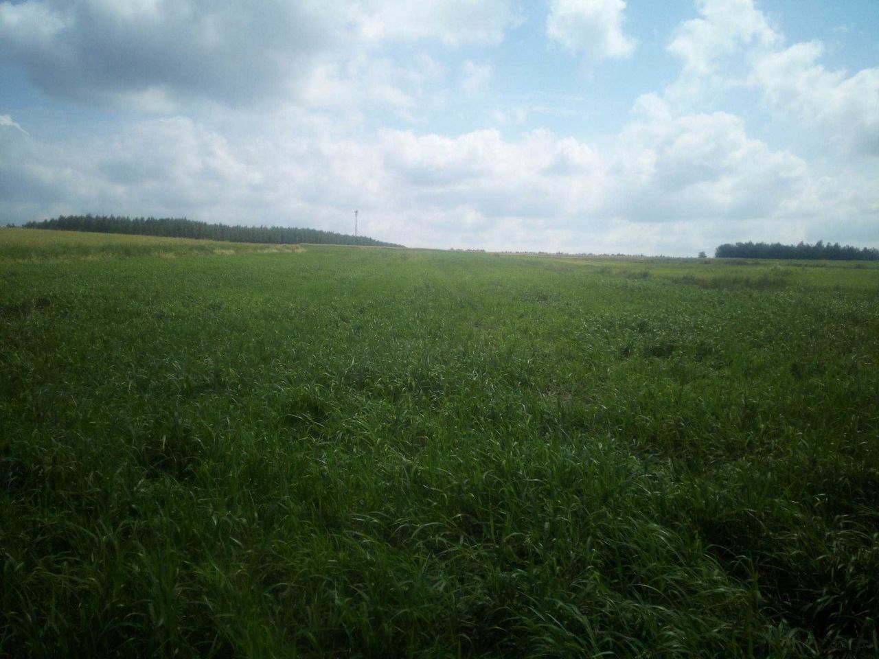 dom wolnostojący Ćmielów. Zdjęcie 4