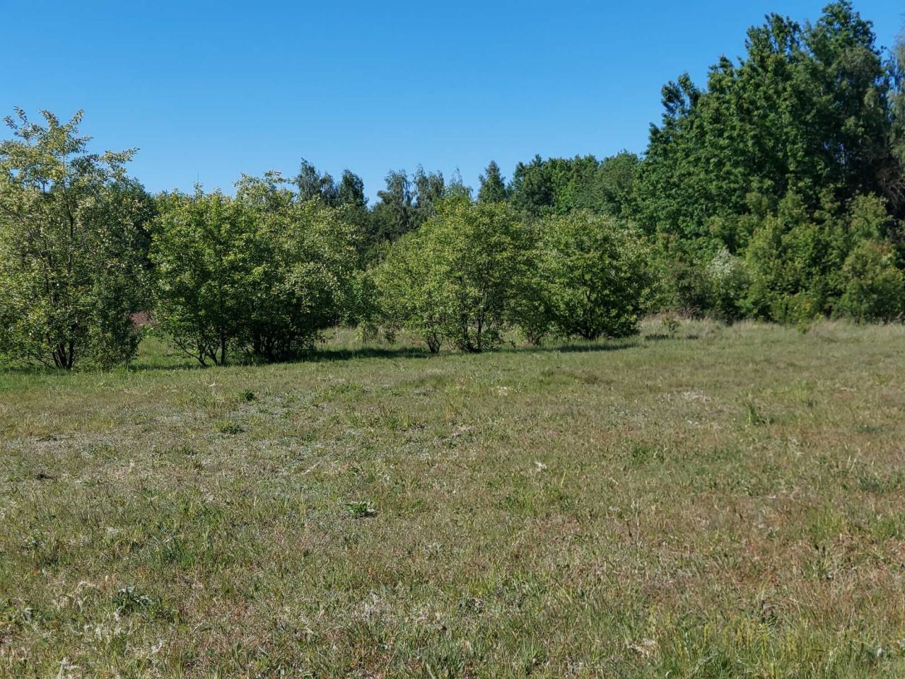 Działka budowlana Wymysłów, ul. Piekarska. Zdjęcie 3