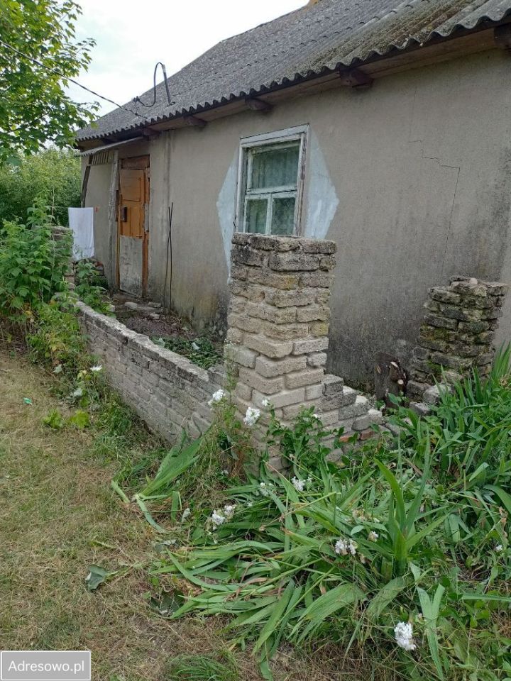 siedlisko Tchórzew-Kolonia. Zdjęcie 4