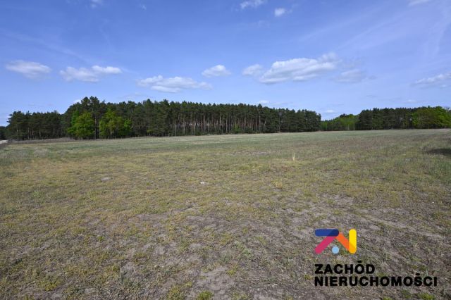 Działka budowlana Bronków. Zdjęcie 3