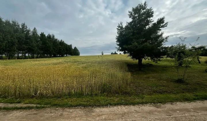 Działka rolna Wilkiejmy