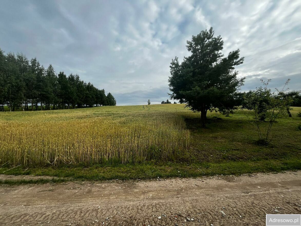 Działka rolna Wilkiejmy