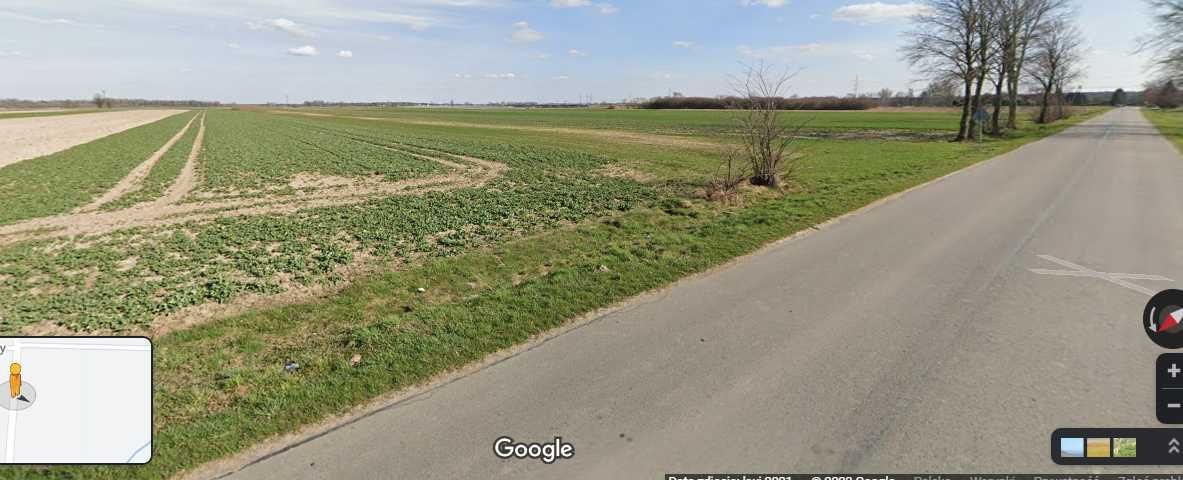 Działka rolna Przychojec. Zdjęcie 3