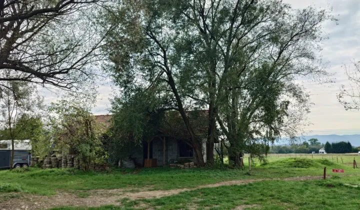 dom wolnostojący Stadła