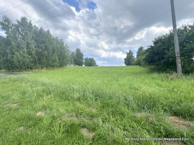 dom wolnostojący, 5 pokoi Brzezówka. Zdjęcie 6