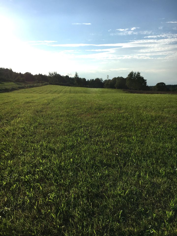 Działka budowlana Kierlikówka Orzechówka. Zdjęcie 4