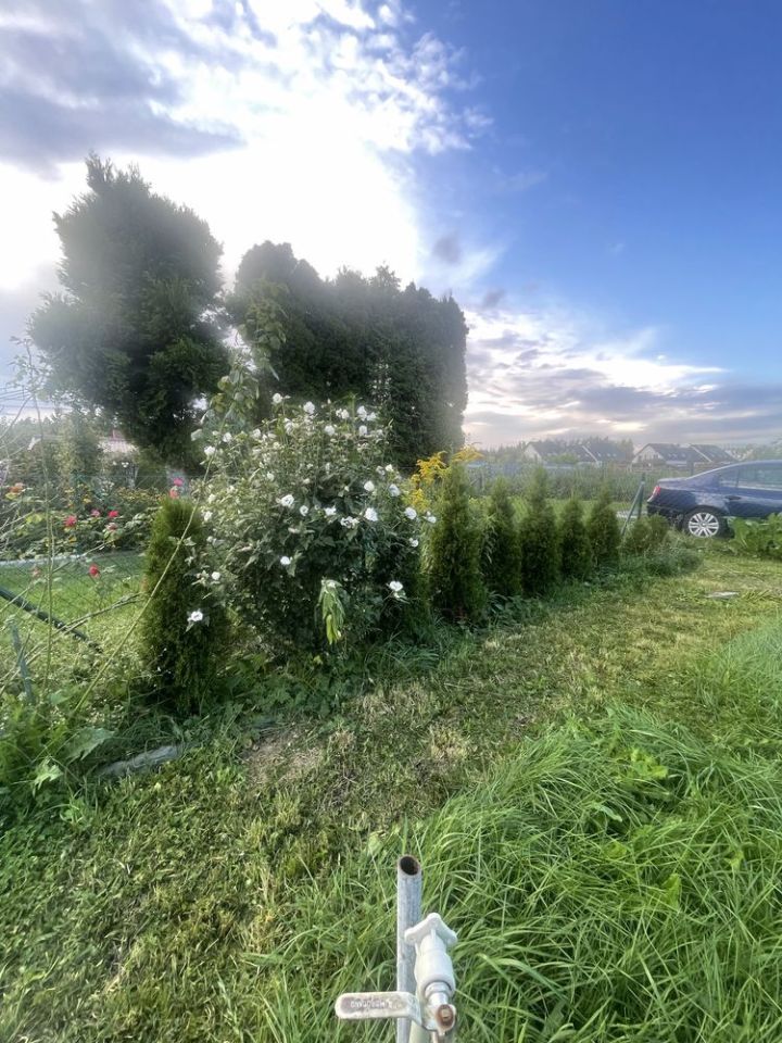 Działka rod Grudziądz, ul. Miłoleśna. Zdjęcie 8