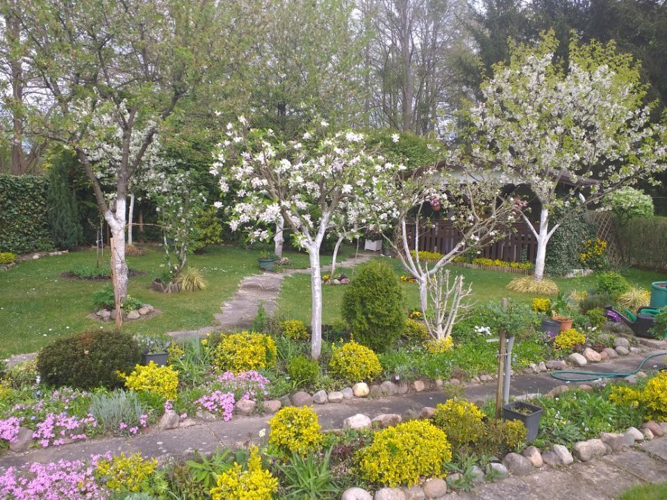 Działka rod Biedrusko. Zdjęcie 2