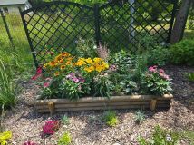 Działka rod Lublin, ul. Zawilcowa. Zdjęcie 3