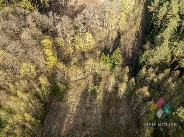 Działka leśna Świętajno, ul. Grunwaldzka. Zdjęcie 6