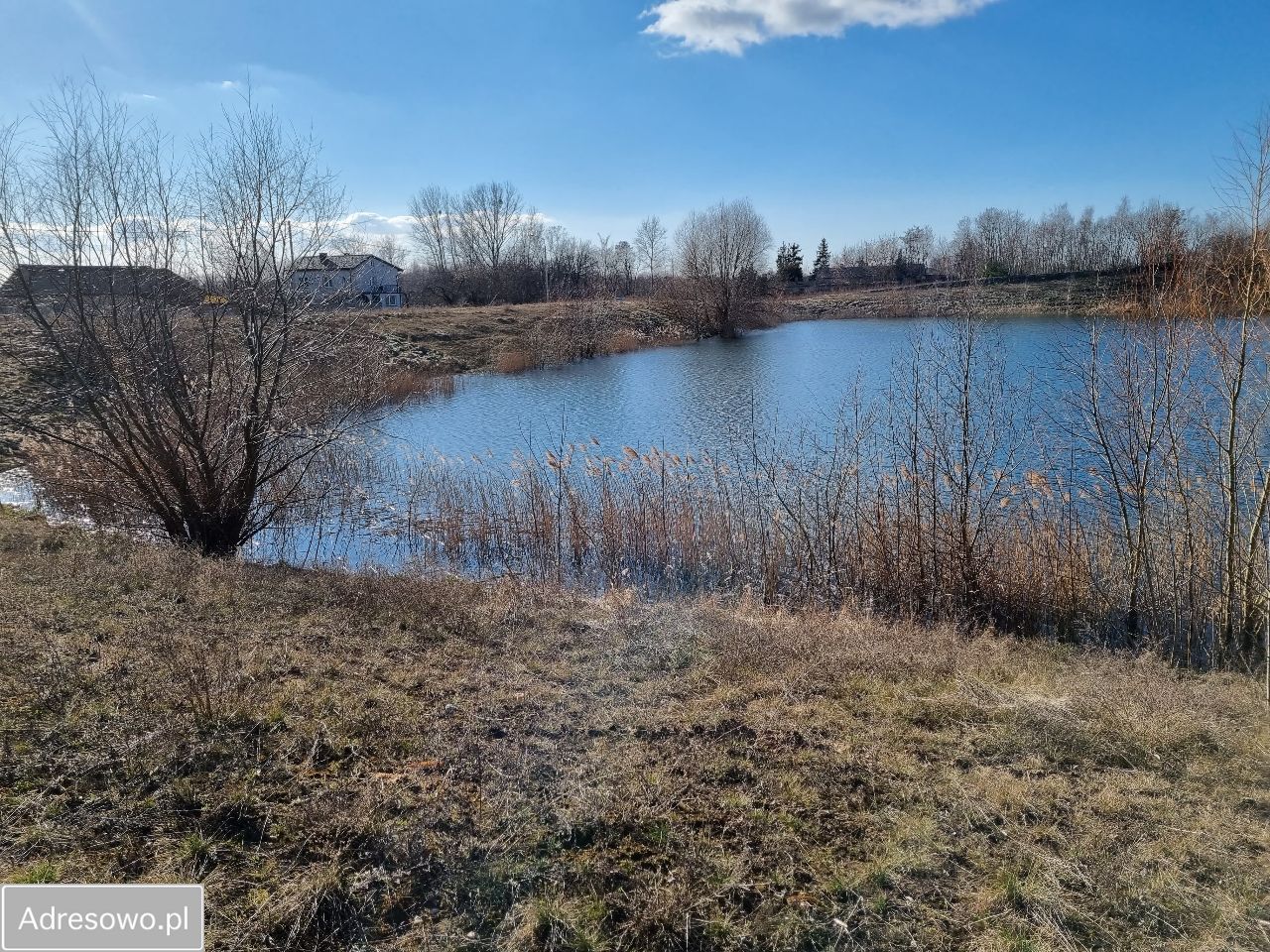 Działka Bilno. Zdjęcie 6