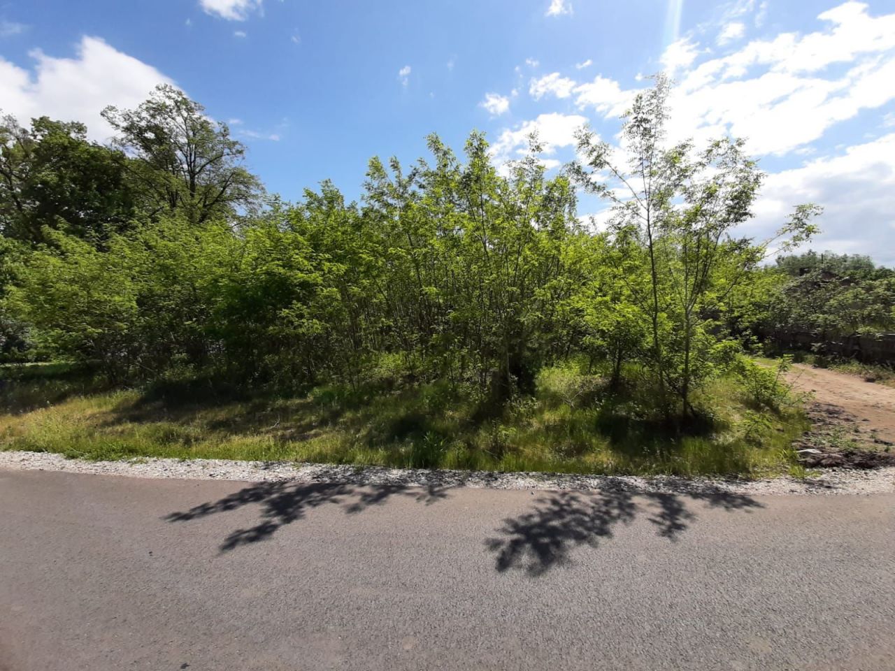 Działka rolno-budowlana Stare Budy. Zdjęcie 7