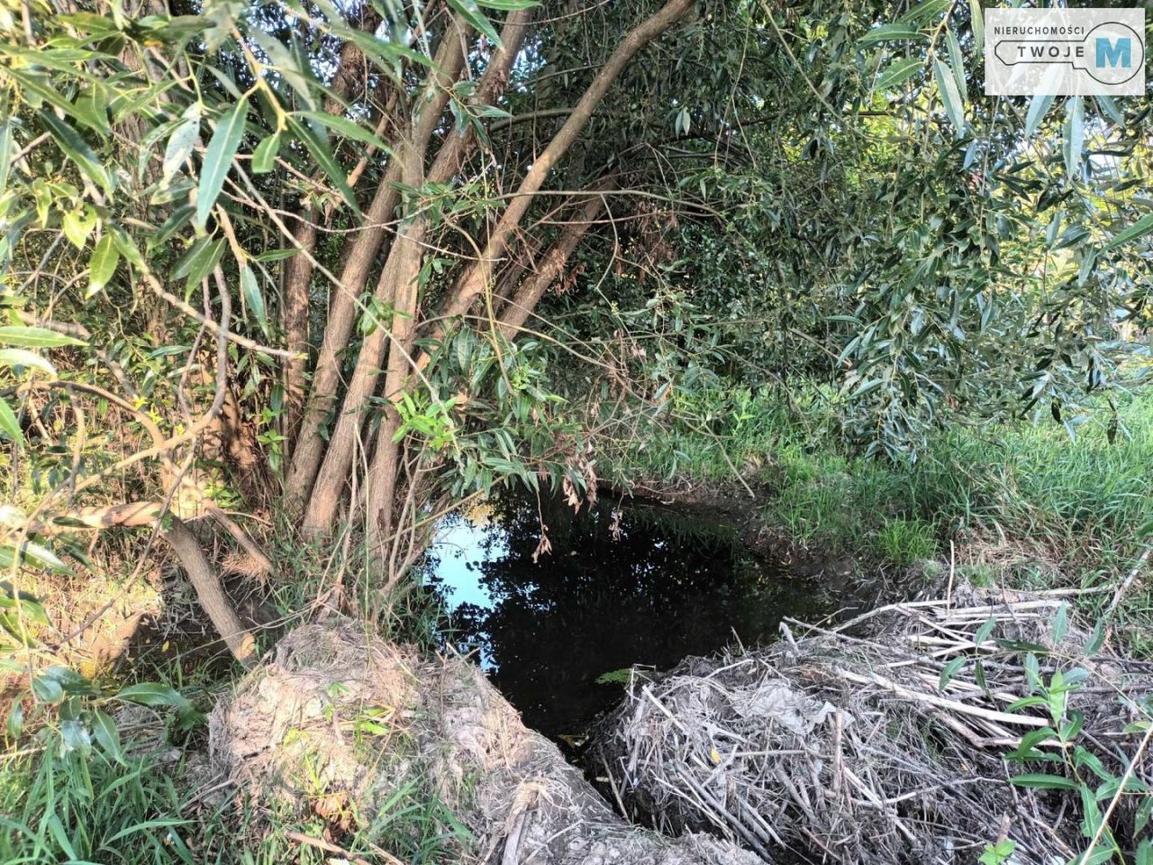 Działka rekreacyjna Bieliny. Zdjęcie 14