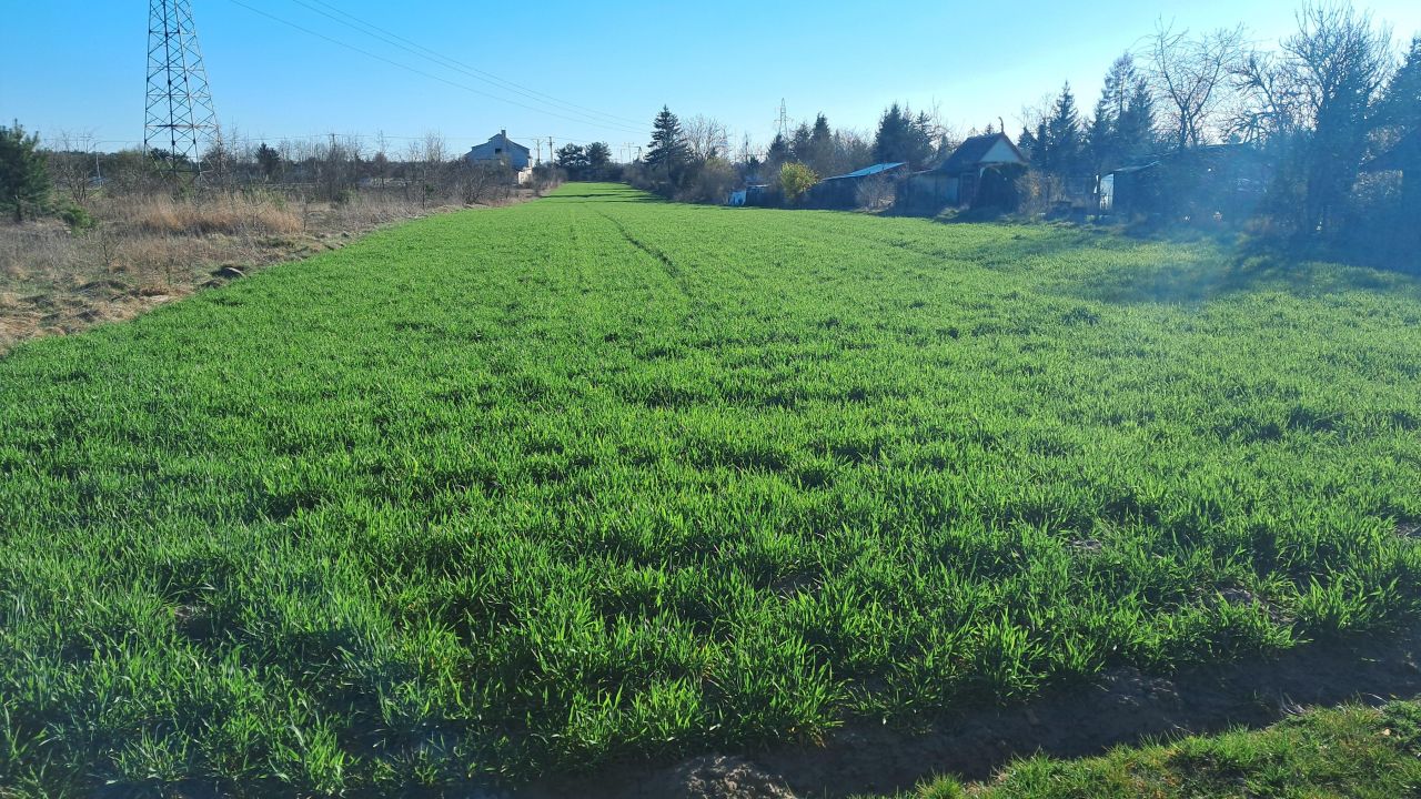 Działka inwestycyjna Sierpc, ul. Adama Mickiewicza. Zdjęcie 3